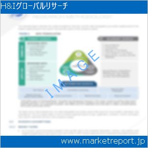 市場と産業調査レポートのイメージ